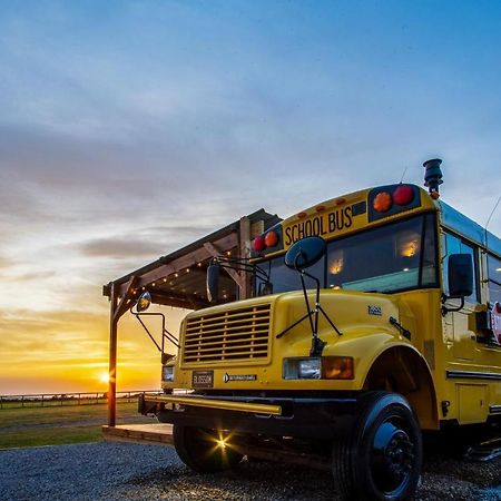 American School Bus - 1 Bedroom - Blossom Farm - Tiers Cross Johnston Exteriér fotografie