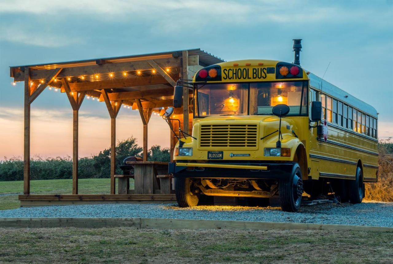 American School Bus - 1 Bedroom - Blossom Farm - Tiers Cross Johnston Exteriér fotografie