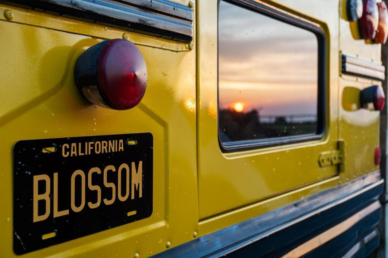 American School Bus - 1 Bedroom - Blossom Farm - Tiers Cross Johnston Exteriér fotografie